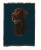 Labrador Retriever 1 - Chocolate - Cotton Woven Throw