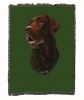 Labrador Retriever 1 - Chocolate - Cotton Woven Throw