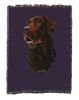 Labrador Retriever 1 - Chocolate - Cotton Woven Throw