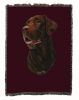 Labrador Retriever 1 - Chocolate - Cotton Woven Throw