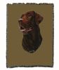 Labrador Retriever 1 - Chocolate - Cotton Woven Throw
