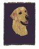 Labrador Retriever - Yellow - Cotton Woven Throw