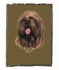 Lhasa Apso Cotton Woven Throw