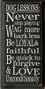 Dog Lessons: Never Stop Playing; Wag More ...