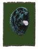 Newfoundland 1 Cotton Woven Throw