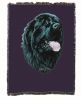 Newfoundland 1 Cotton Woven Throw