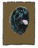 Newfoundland 1 Cotton Woven Throw