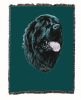 Newfoundland 1 Cotton Woven Throw