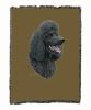Poodle - Black 1 - Cotton Woven Throw