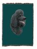 Poodle - Black 1 - Cotton Woven Throw
