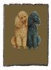 Poodles 2 Cotton Woven Throw