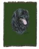 Portuguese Water Dog Cotton Woven Throw