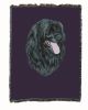 Portuguese Water Dog Cotton Woven Throw