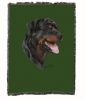 Rottweiler Cotton Woven Throw