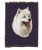 Samoyed Cotton Woven Throw