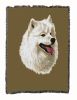 Samoyed Cotton Woven Throw