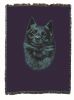 Schipperke Cotton Woven Throw