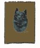 Schipperke Cotton Woven Throw