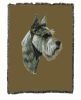 Schnauzer Cotton Throw