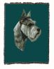 Schnauzer Cotton Throw