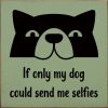 If Only My Dog Could Send Me Selfies