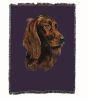 Irish Setter Cotton Woven Throw
