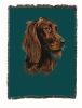 Irish Setter Cotton Woven Throw