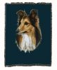 Shetland Sheepdog/Sheltie Cotton Woven Throw