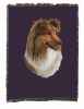Shetland Sheepdog 2 /Sheltie Cotton Woven Throw