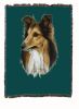Shetland Sheepdog/Sheltie Cotton Woven Throw