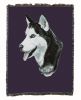 Siberian Husky 1 Cotton Woven Throw