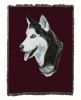 Siberian Husky 1 Cotton Woven Throw