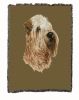 Soft Coated Wheaten Terrier Cotton Woven Throw