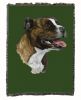 Pit Bull Terrier Cotton Woven Throw
