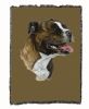 Pit Bull Terrier Cotton Woven Throw