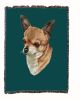 Chihuahua A Cotton Woven Throw