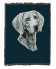 Weimaraner Cotton Woven Throw