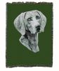 Weimaraner Cotton Woven Throw