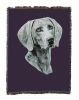 Weimaraner Cotton Woven Throw