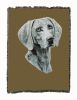Weimaraner Cotton Woven Throw