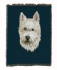 West Highland White Terrier 1 Cotton Woven Throw