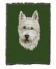West Highland White Terrier 1 Cotton Woven Throw