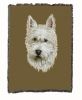 West Highland White Terrier 1 Cotton Woven Throw