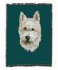 West Highland White Terrier 1 Cotton Woven Throw