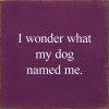 I Wonder What My Dog Named Me