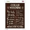 Collie Wisdom  Novelty Rectangle Sticker Decal